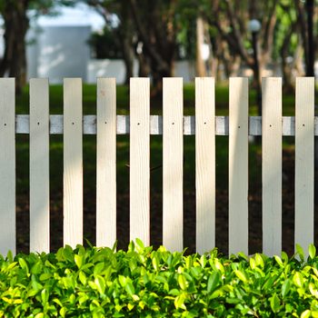 white fence in front of garden look so relax among green bush