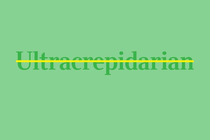 ultracrepidarian