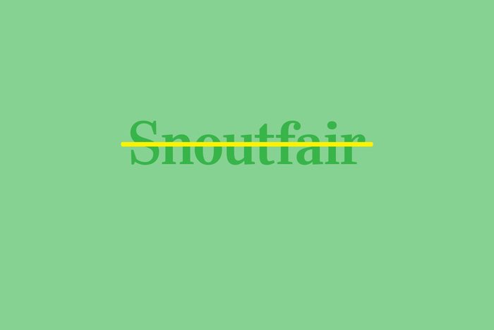 snoutfair