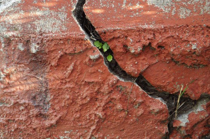 Crack In The Red Curb