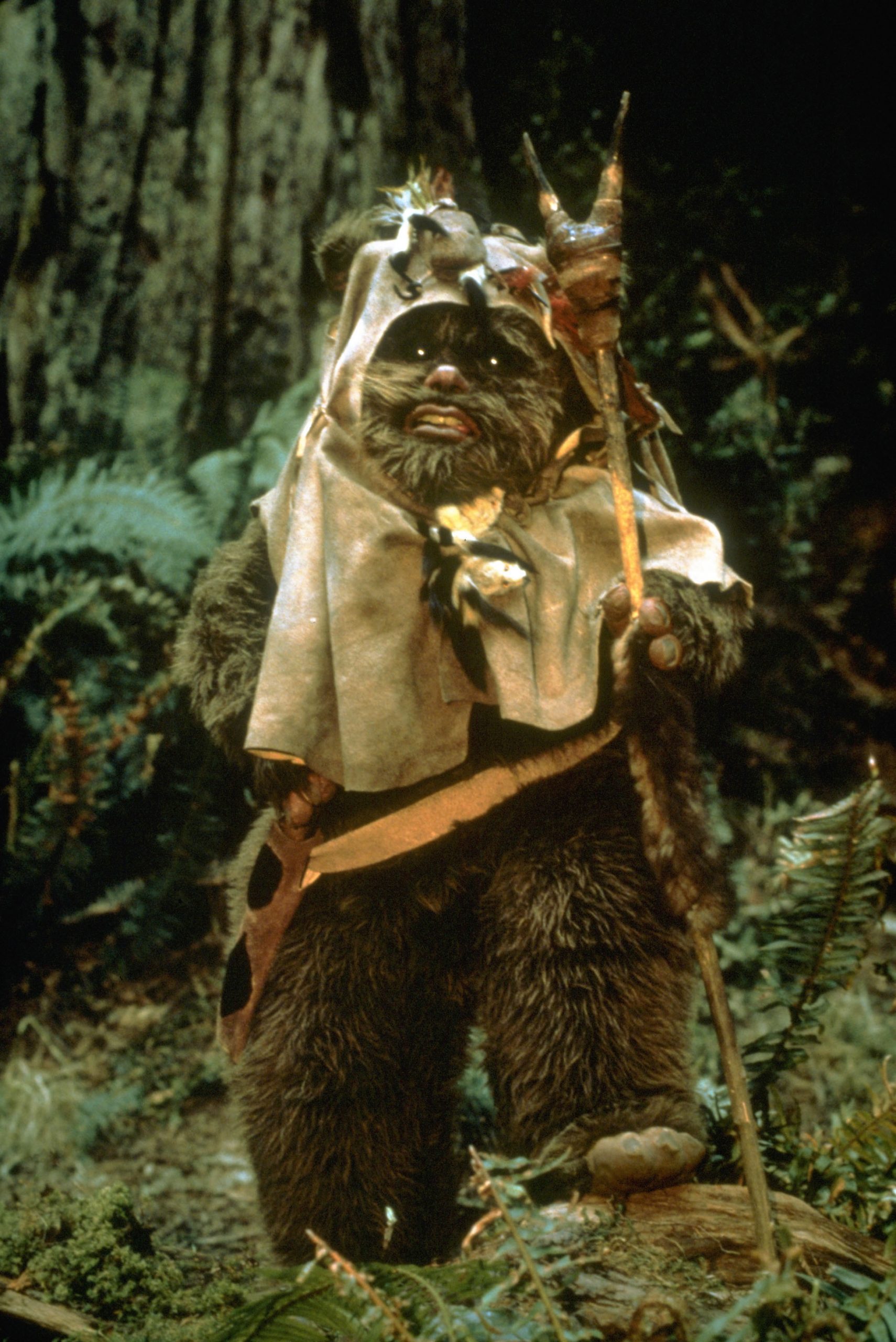 Kenny Baker as ewok - Star Wars Episode Vi - Return Of The Jedi - 1983