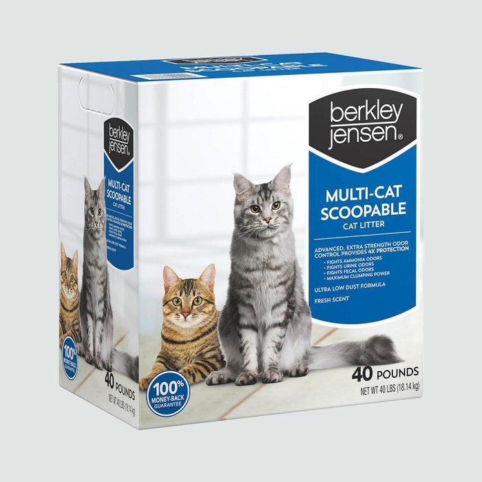 kitty litter