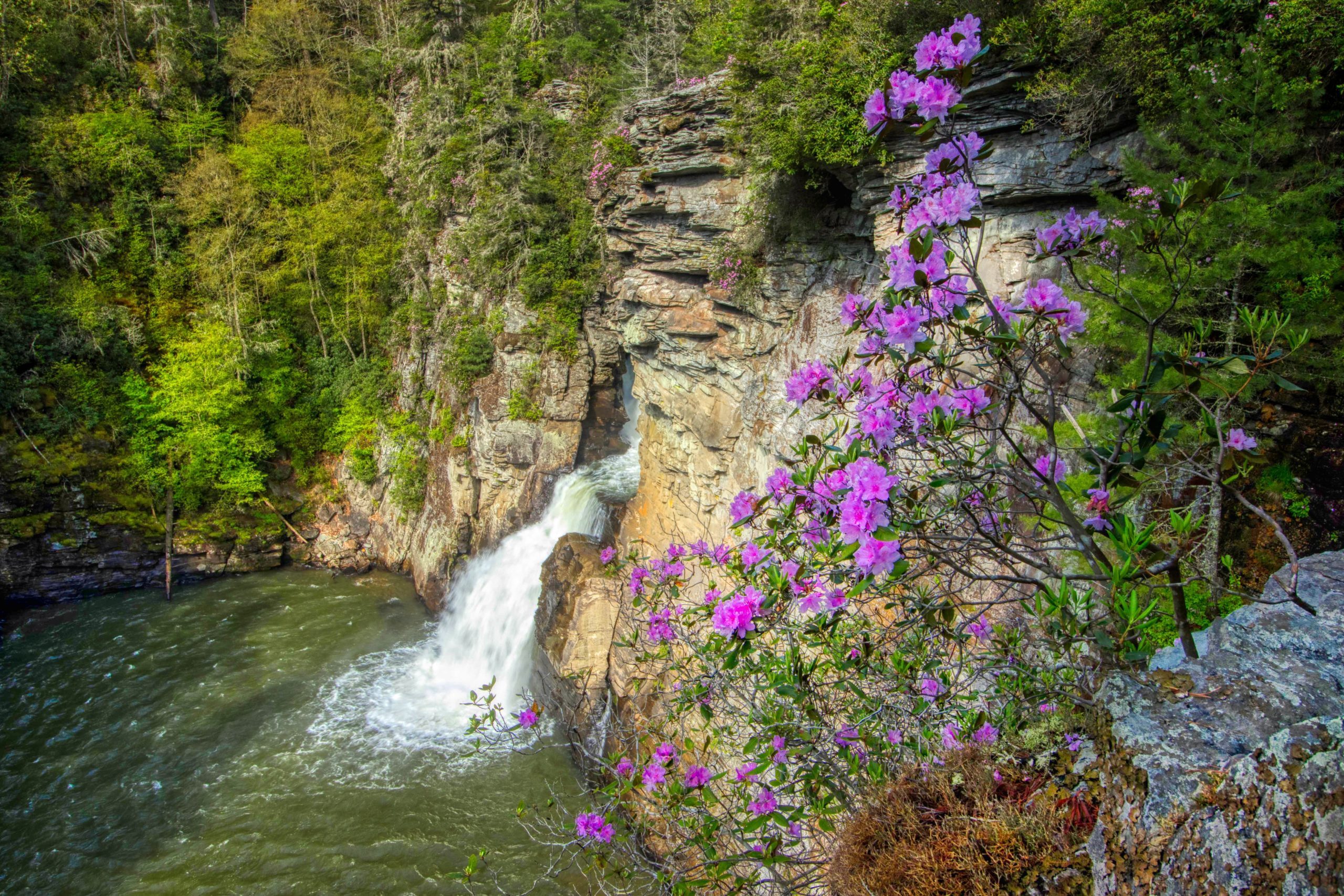 spring waterfall 