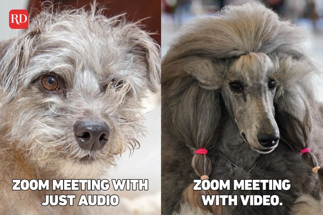 Two images with meme text over images of dogs