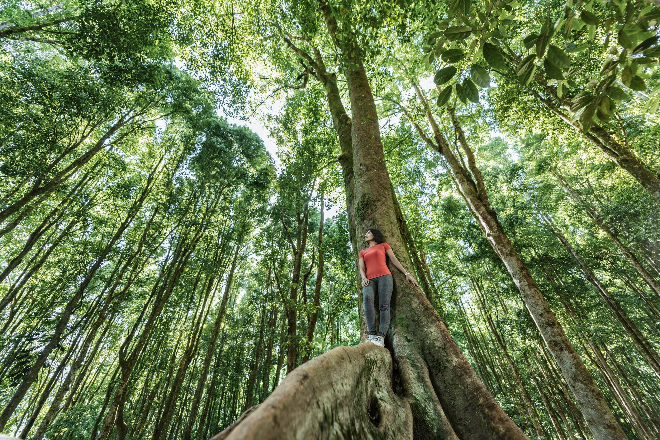 Young Asian woman standing on tropical in tropical rainforest setting