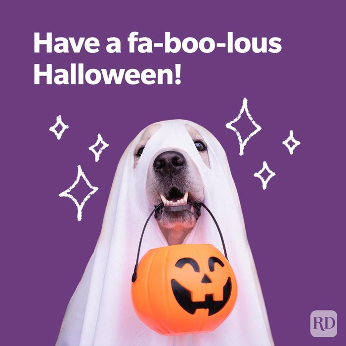 150 Halloween Puns That Will Have You Laughin’ Till You’re Coffin