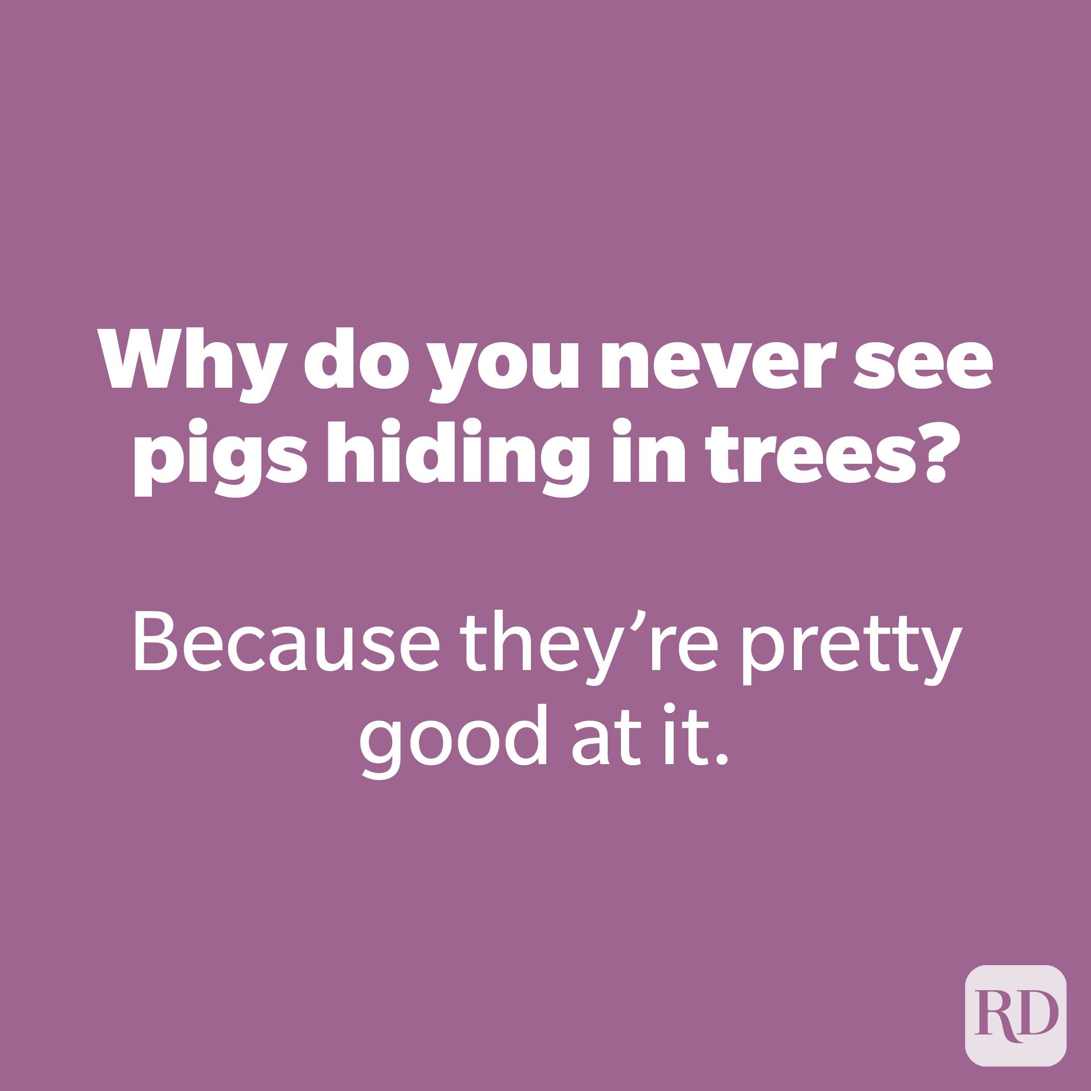 Why do you never see pigs hiding in trees? 