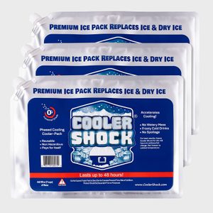 Ice packs laid flat, displaying labeled blue and white design, claim to replace ice in coolers, lasting up to 48 hours.
