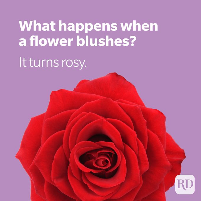 100 Plant Puns That Will Knock Your Stalks Off