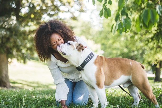 17 Calm Dog Breeds with Easygoing Personalities