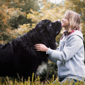 A large black dog licks a smiling person in a gray hoodie, surrounded by a grassy area with trees in autumn colors.