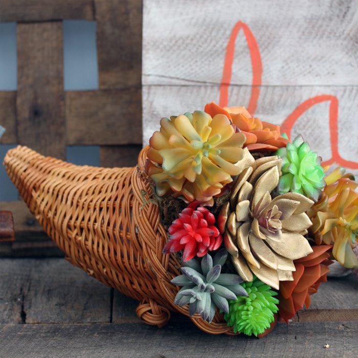 Wicker cornucopia holds colorful succulents, resting on a wooden surface with a rustic backdrop.