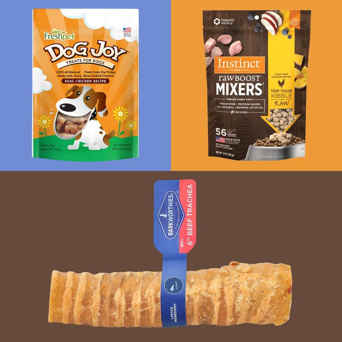 8 Healthiest Dog Treats, According to Pet Experts