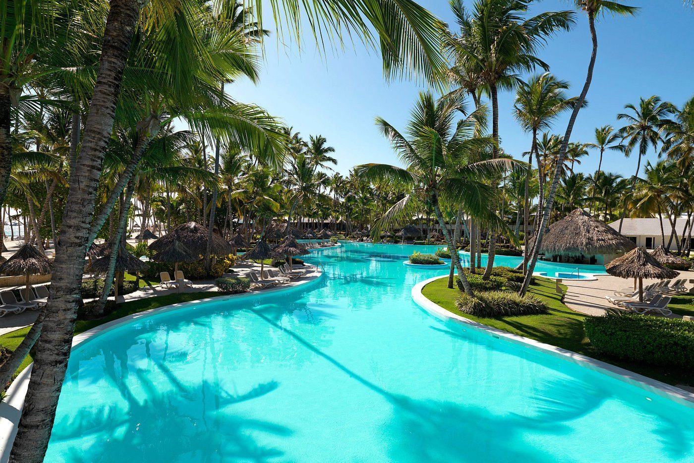Turquoise pool reflects palm trees, surrounded by sun loungers and thatched umbrellas, under a clear blue sky in a tropical resort setting.