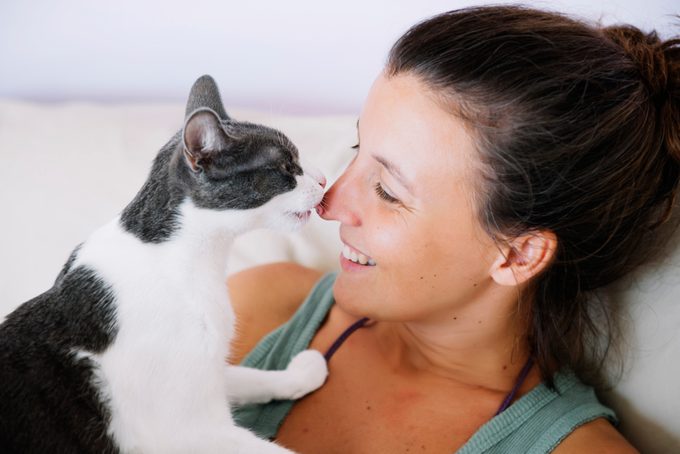 Why Do Cats Lick You? 4 Reasons, According to Cat Experts