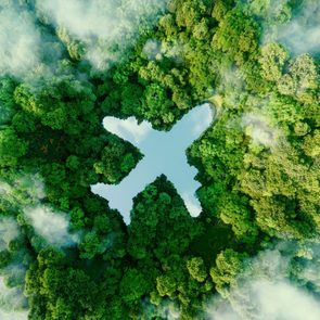 A lake shaped like an airplane is surrounded by dense green forest with mist hovering above.