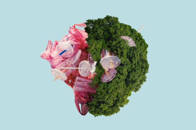 How to Live (Nearly) Plastic Free—One Woman’s Journey Shows How