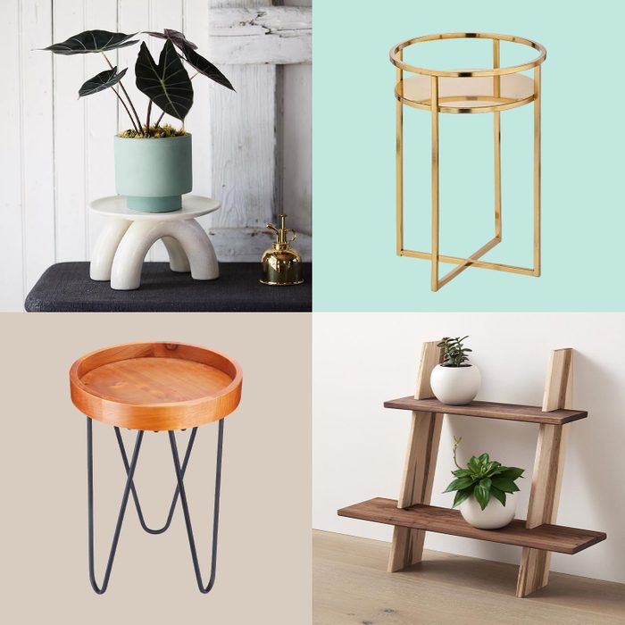 9 Best Plant Stands to Show Off Your Indoor Garden