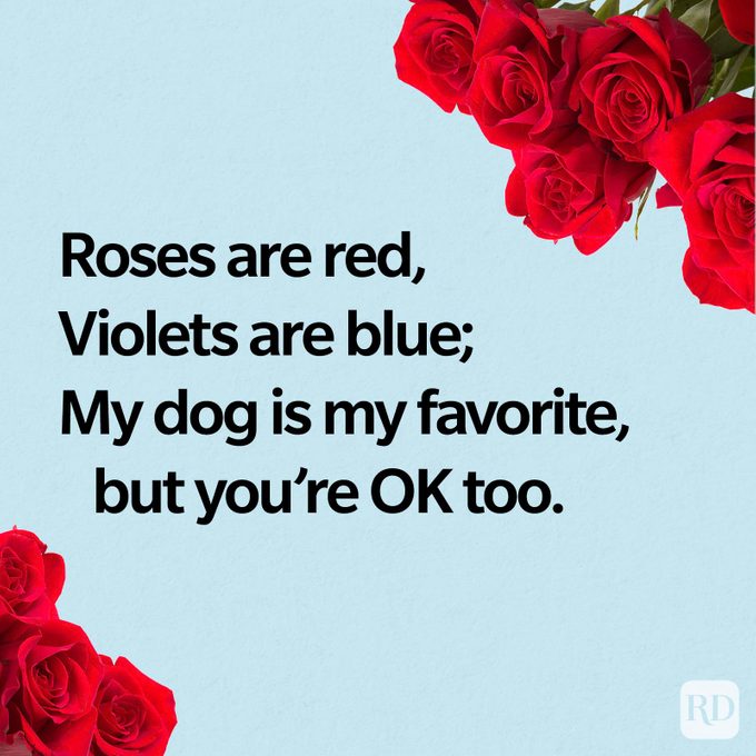 36 of the Absolute Funniest Roses-Are-Red Poems
