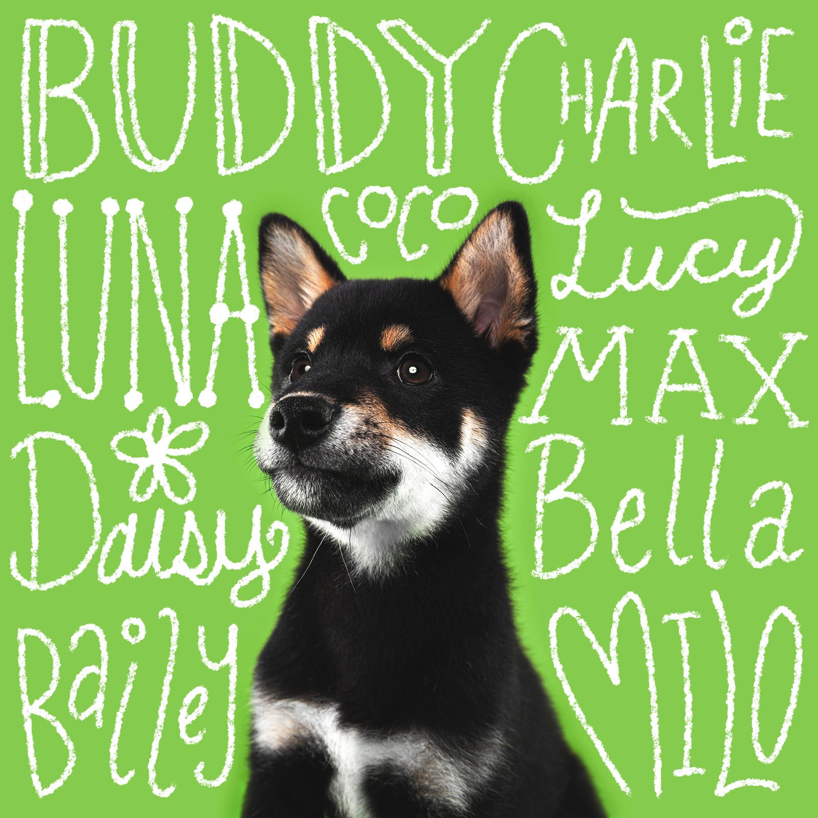 Most Popular Dog Names 2023