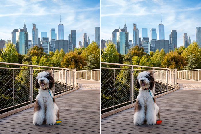 Spot The Difference 18 Gettyimages 1732045719