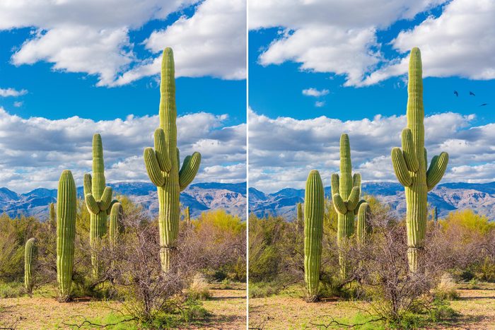 Spot The Difference 19 Gettyimages 1868494556