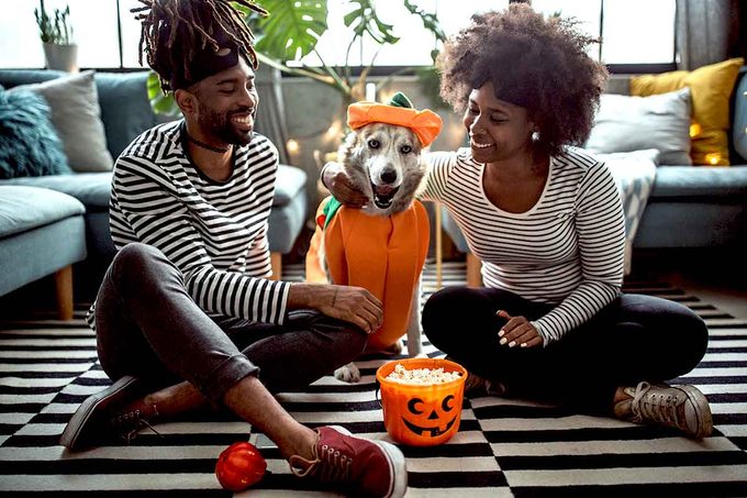 How to Keep Your Dog Safe on Halloween