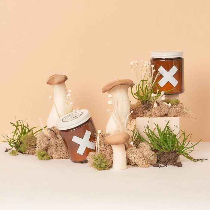Jars with white X marks sit among large mushrooms, moss, and small plants on a beige background.