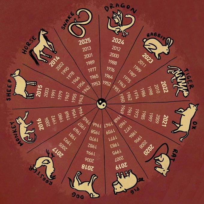 The 12 Chinese Zodiac Signs and What They Mean for You in 2025