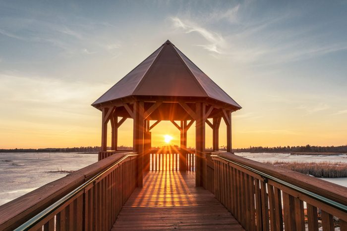 When Is the First Day of Spring 2025? 12 Facts About the Spring Equinox