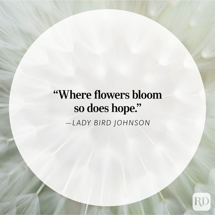 55 Beautiful Nature Quotes that Sing Mother Earth’s Praises