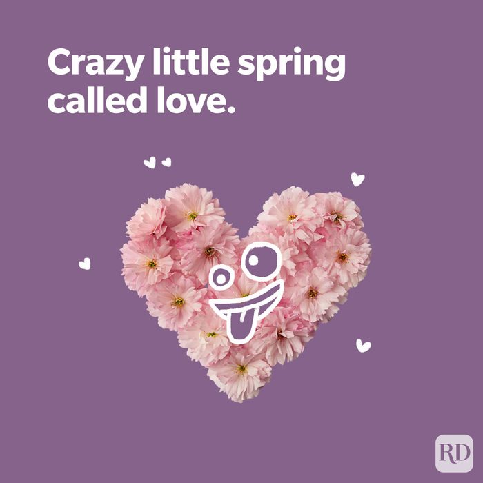 Best Spring Puns