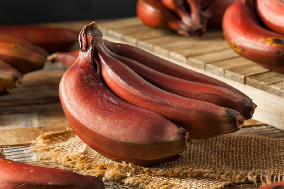Raw Organic Red Bananas