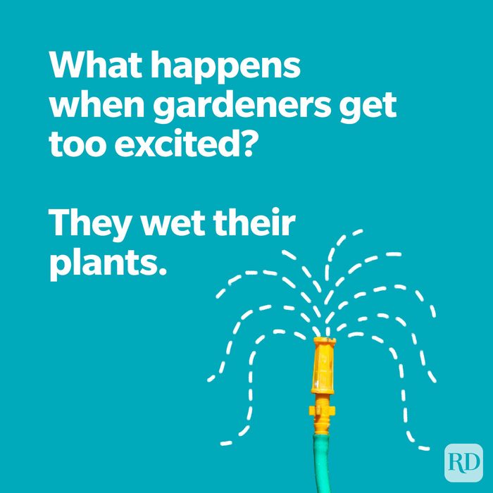 Punny Spring Jokes