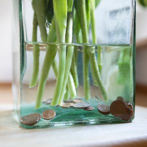 Copper coins in the bottom of a glass vase with tulip stems and water