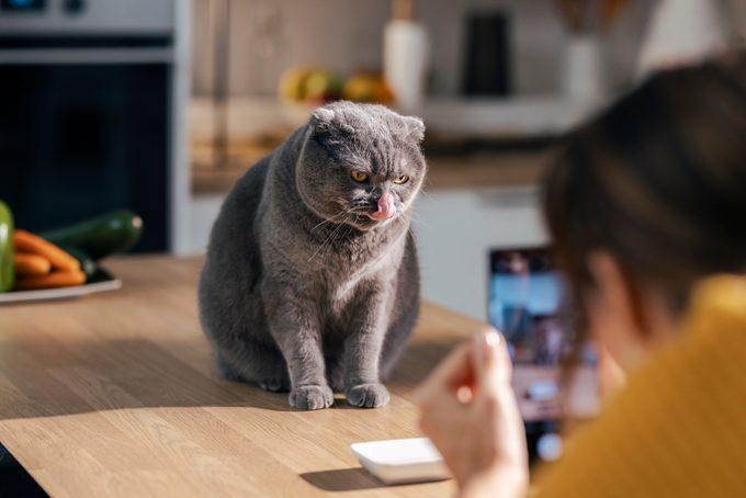 Why Do Cats Respond to “Pspsps”?