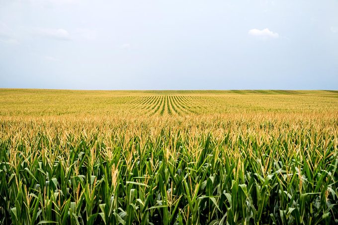 New Report: More Americans Are Moving to the Heartland States—Here’s Why