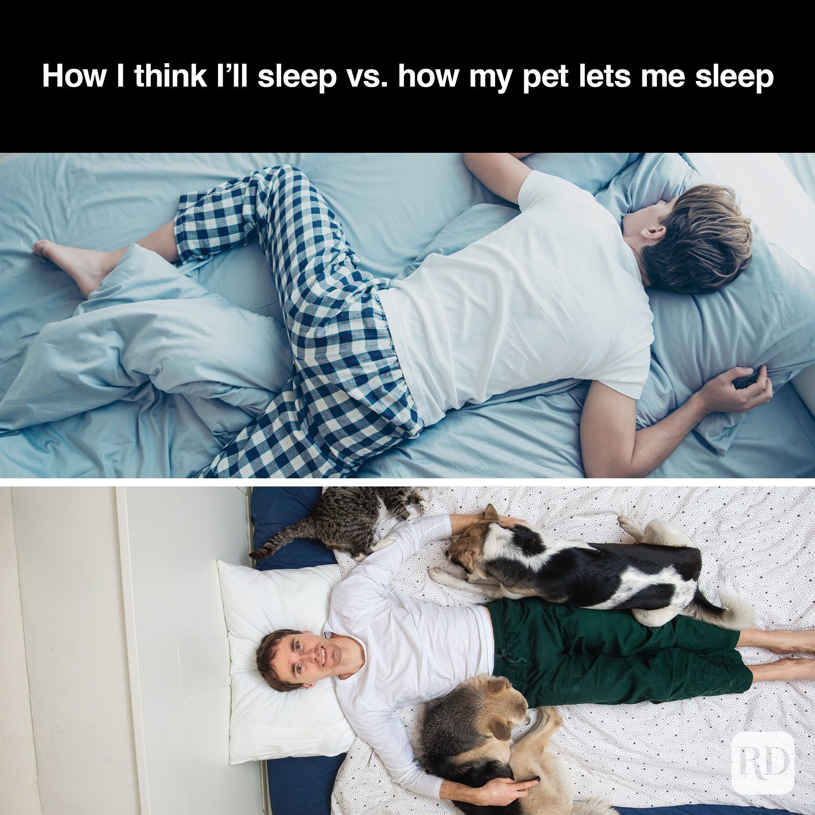A meme about - Pet Sleeping Arrangements