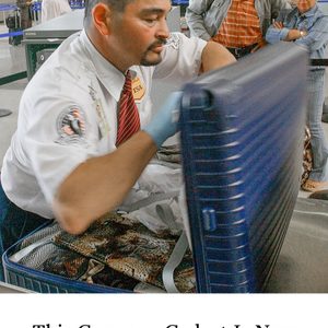 Image ALT Text